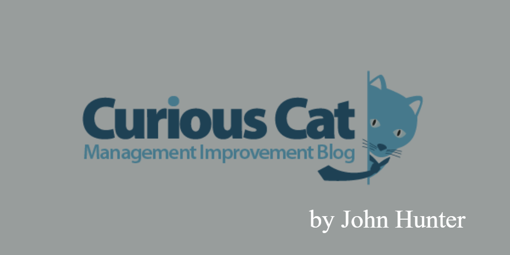 Lean blog- curious cat