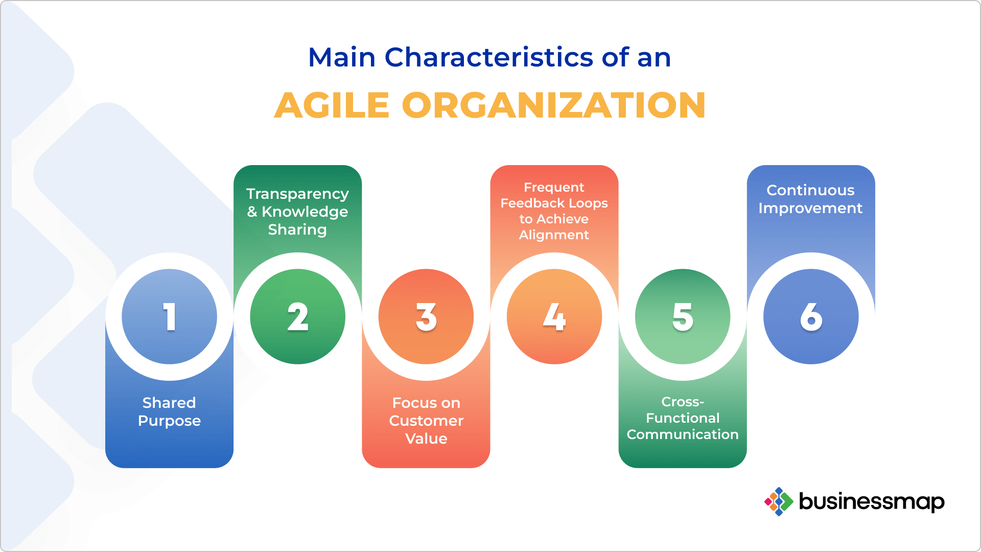 agile organization characteristics