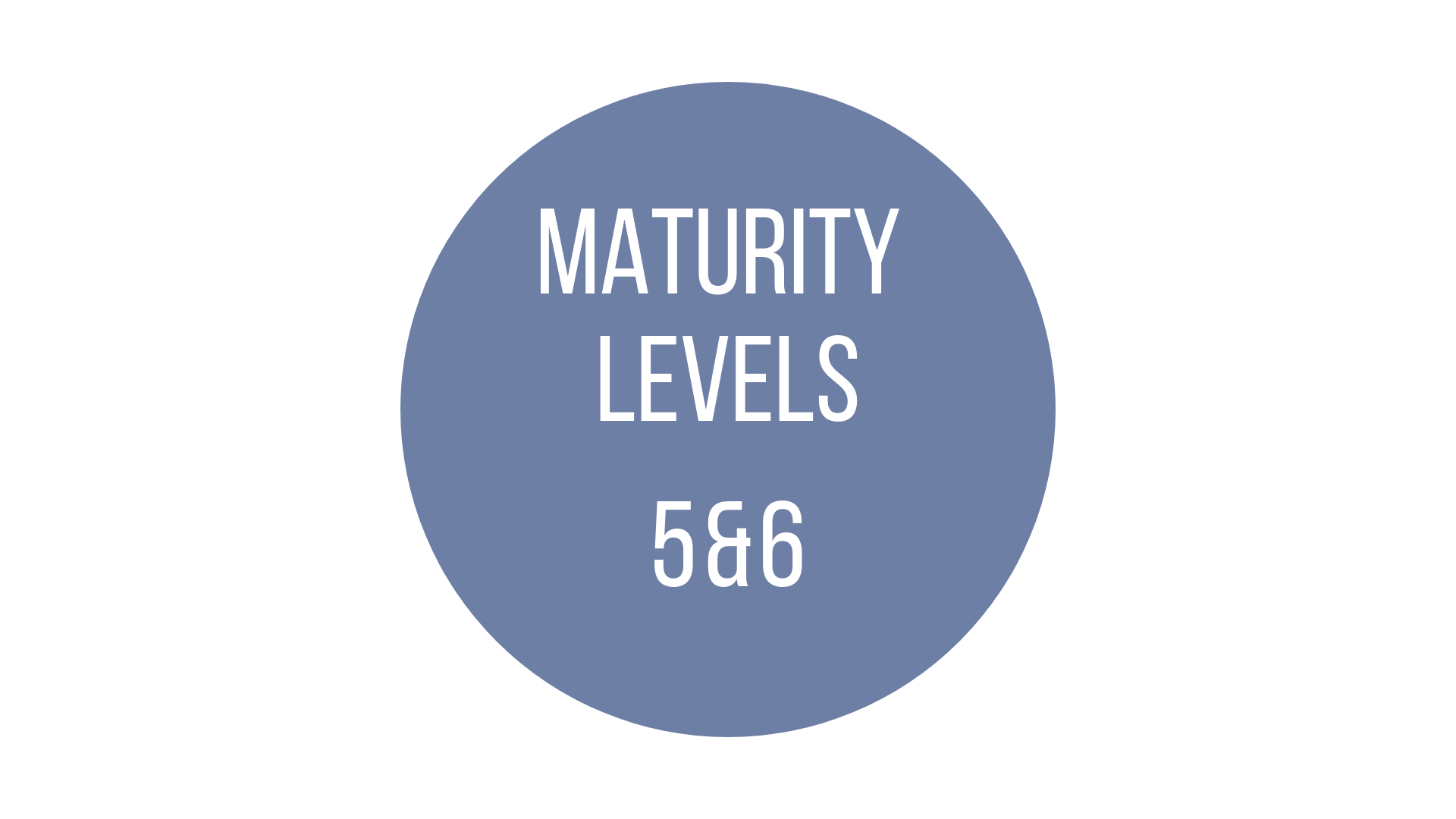 KanbanMaturityLevel5-6